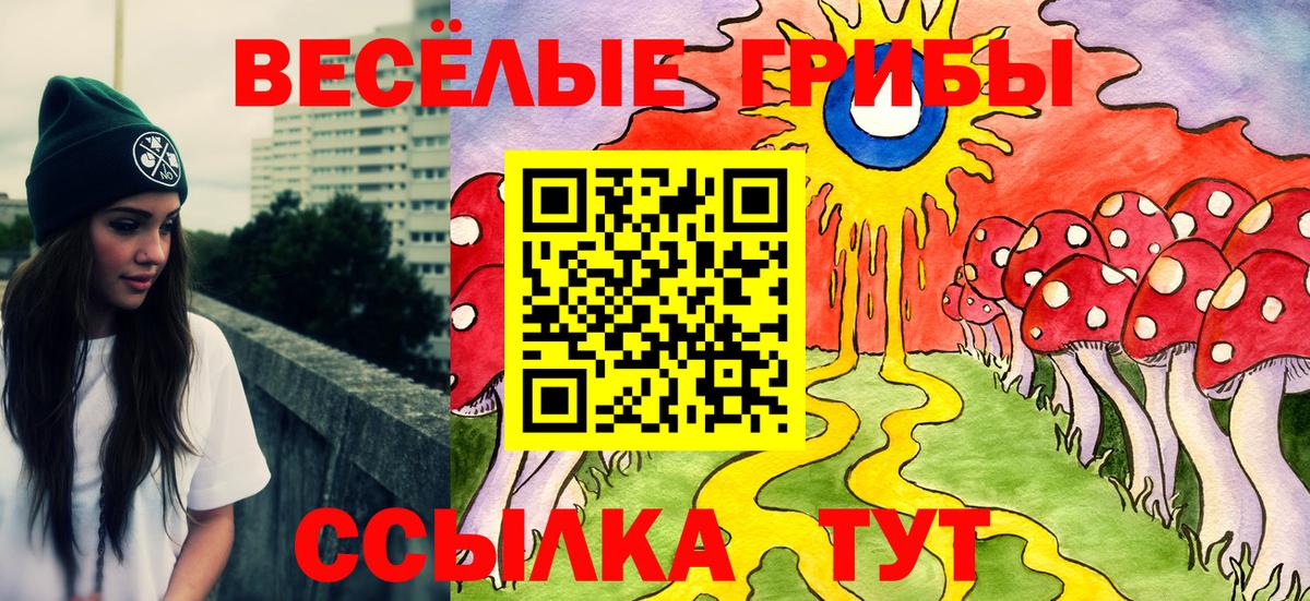 Славгород  Псилоцибиновые грибы Psilocybe  Вход с VPN 